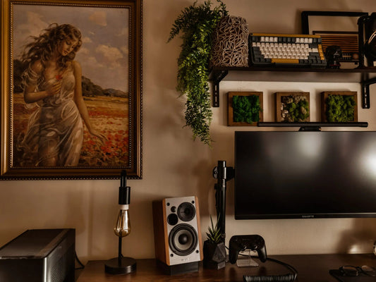 Elevate Your TV Experience: The Perfect Pair - TV with Wireless Headphones - TV Ears