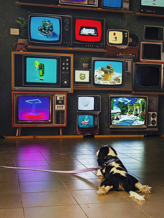 How a TV Ears Speaker Clarifies TV Dialogue - TV Ears